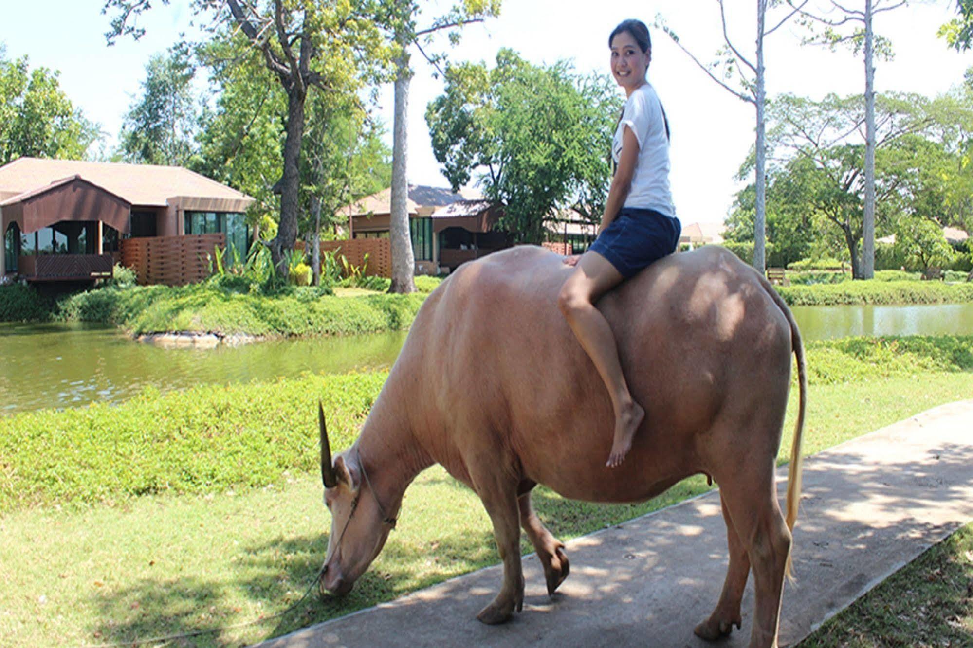 Wishing Tree Resort, Khon Kaen Zewnętrze zdjęcie